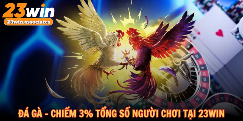 Đá gà - Sảnh game chiếm 3% tổng số người chơi tại 23WIN